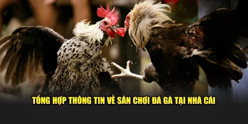 Tổng hợp thông tin về nền tảng giải trí thú vị, hot hit